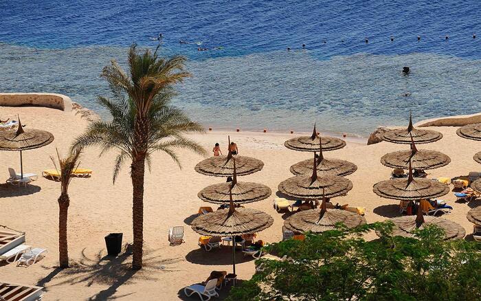 Reef Oasis Blue Bay
